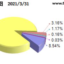 新兴产业布局与龙头精选 中银证券优选行业龙头混合A的软件与信息技术服务业投资策略解析