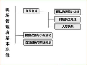 优秀班组长必备管理技能 软件与信息技术服务业的投资与管理